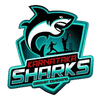 Karnataka Sharks